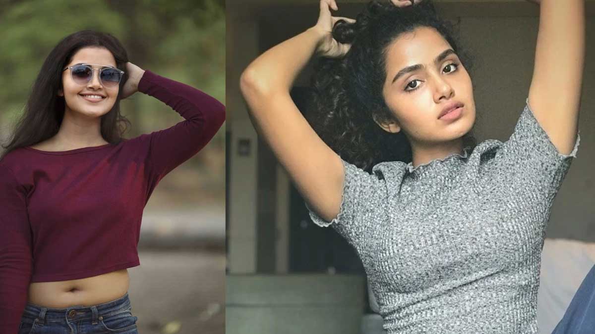 Anupama Parameswaran సినిమాలకు గుడ్ బై చెప్ప‌నున్న‌ అనుపమ ప‌ర‌మేశ్వ‌ర