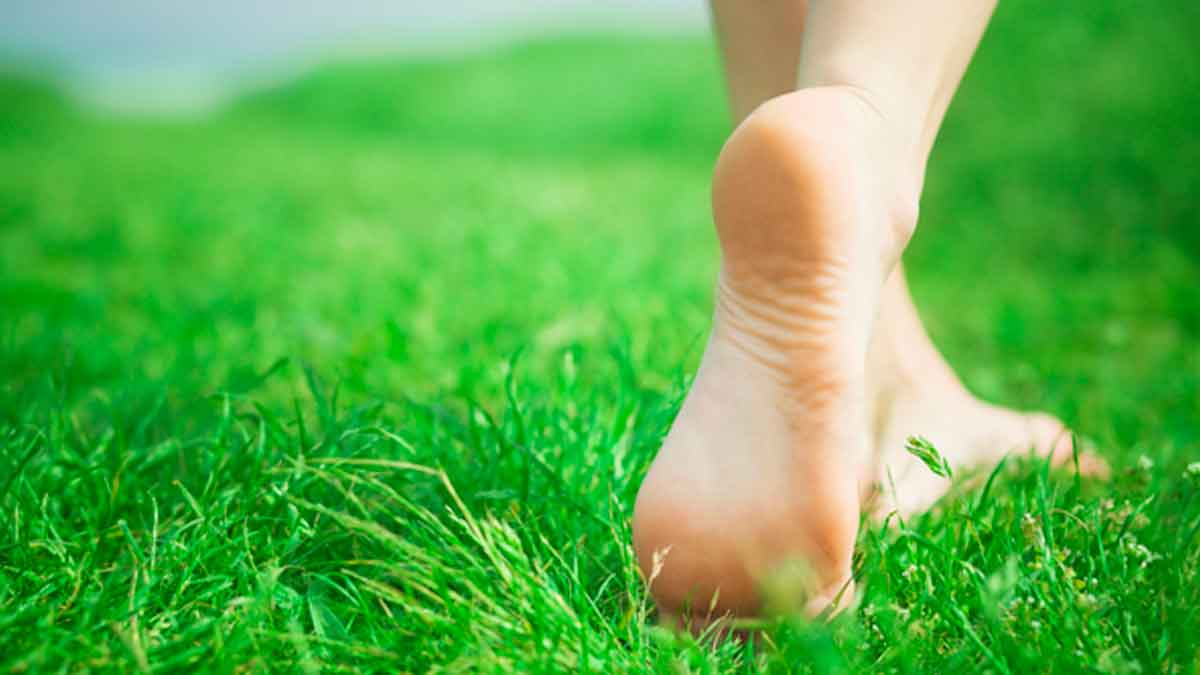 Bare Foot Walking many wonderful health benefits do it daily